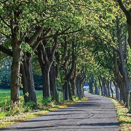 Apartamento Ferienwohnung Altefaehr Altefähr